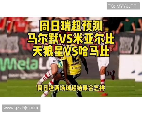 028哈马比对阵马尔默赛事分析与未来走势预测 028哈马比对阵马尔默赛事分析与未来走势预测